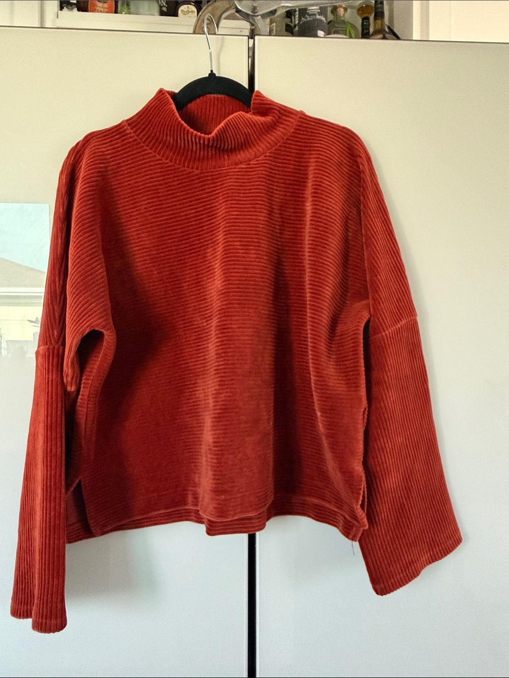 Madewell Rust Corduroy Mock Neck Sweater